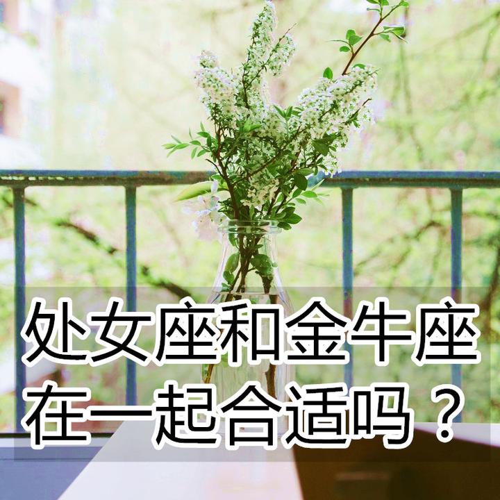 处女座和金牛座在一起合适吗？ 知乎