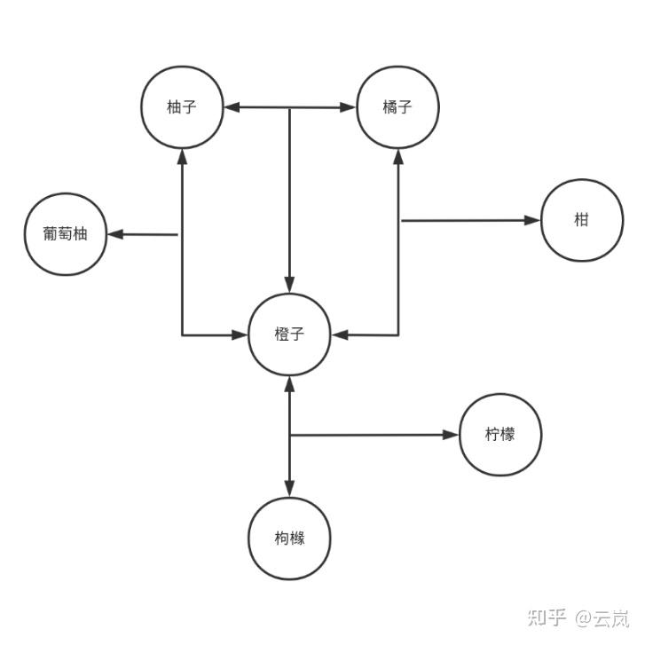 橘子家谱图图片