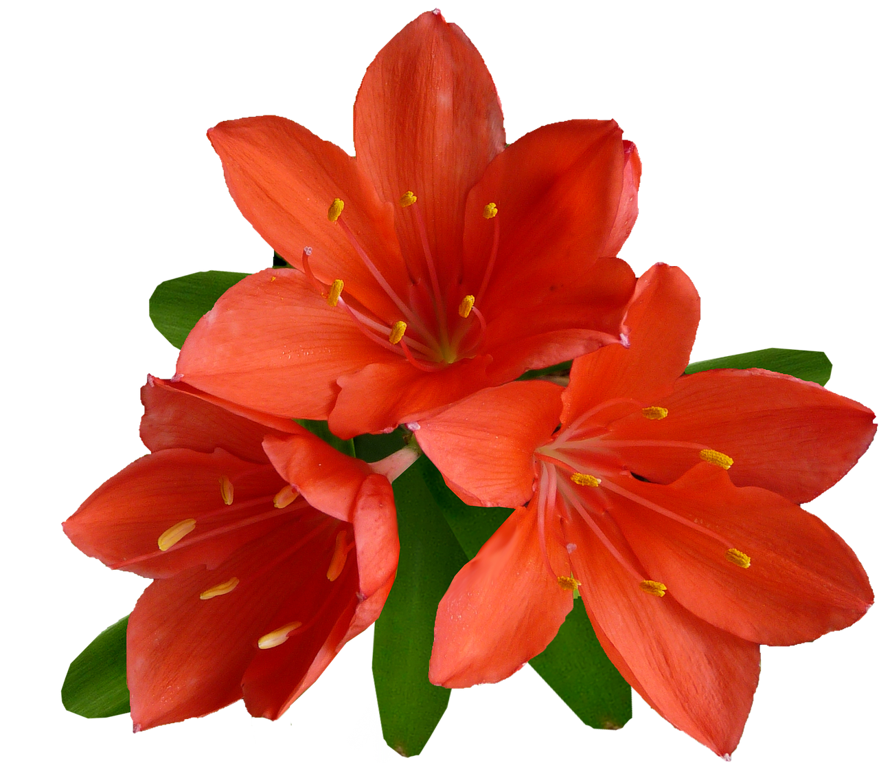 五个彩色灯泡是什么