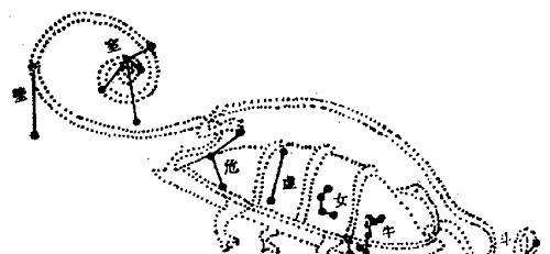 宝瓶,飞马,天鹅,仙女,双角,鲸鱼等座西方白虎大约占仙后,白羊,黄仙