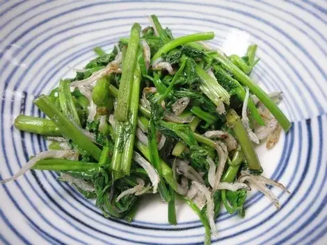 食野之苹叁紫叶鸭儿芹花叶水芹