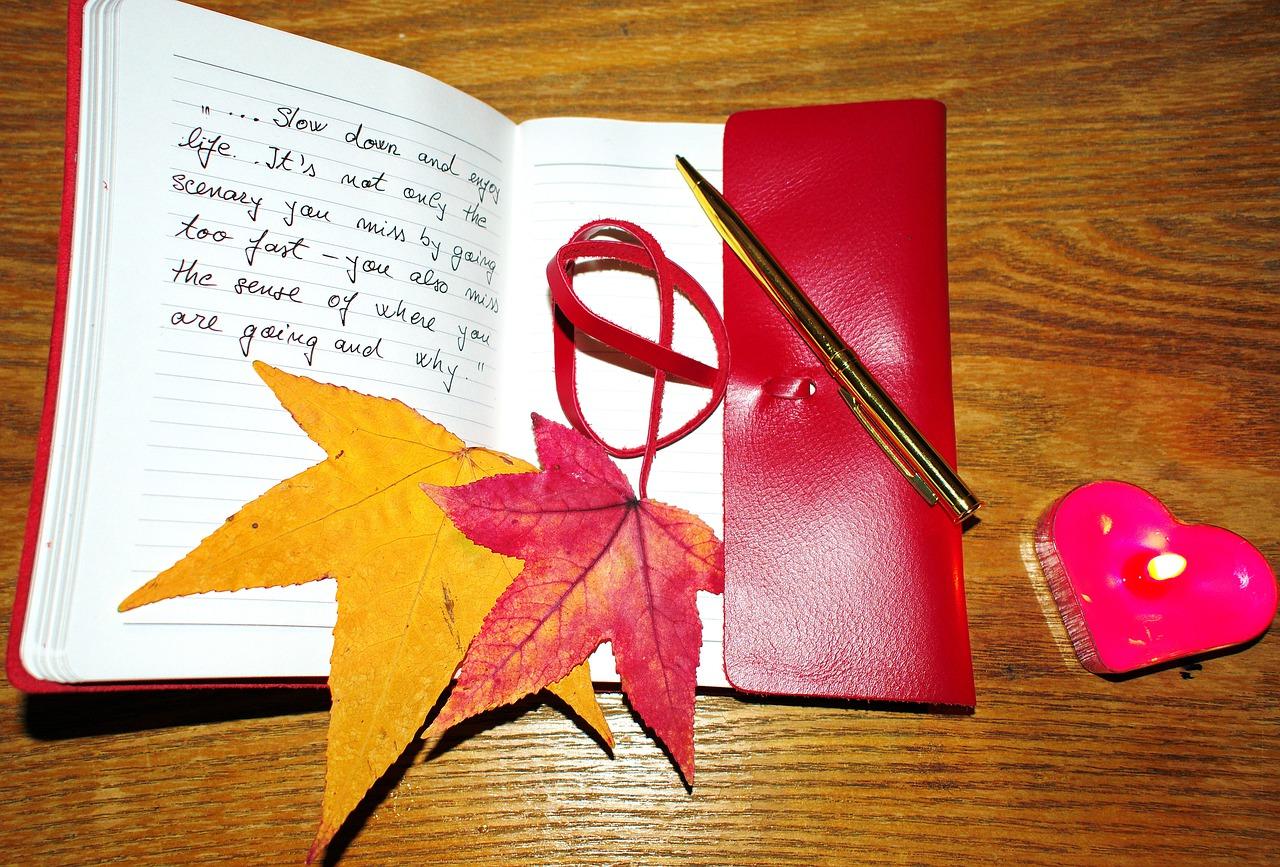 愉悦是什么意思