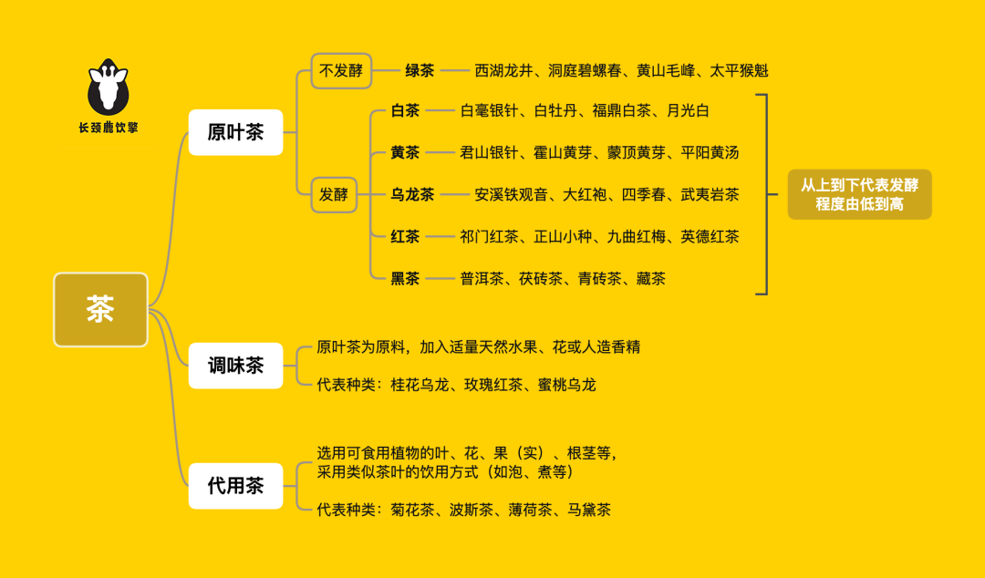 01 關於茶,你還停留在紅茶和綠茶嗎?