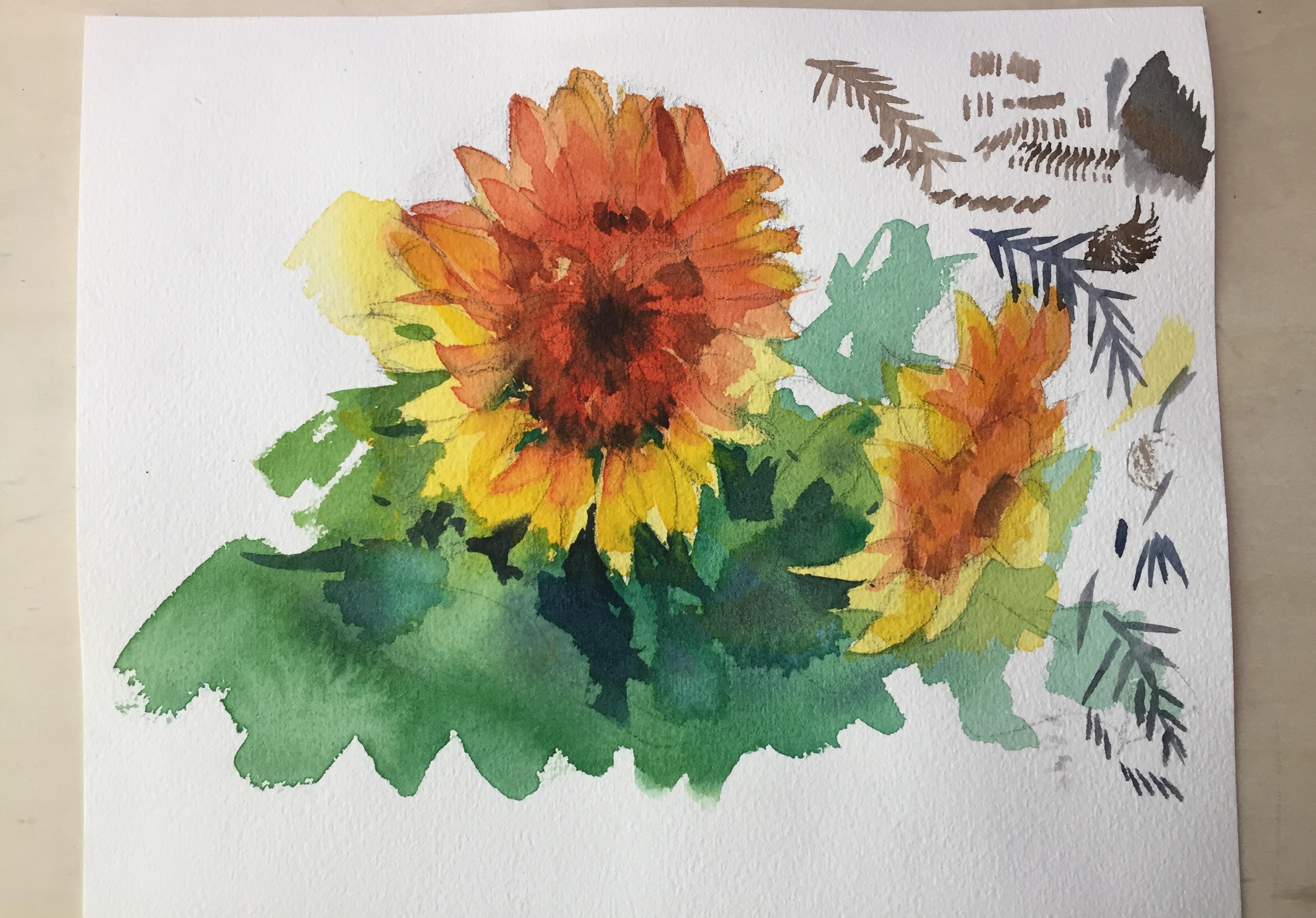 水彩新手的一个月能画到什么程度永山裕子临摹