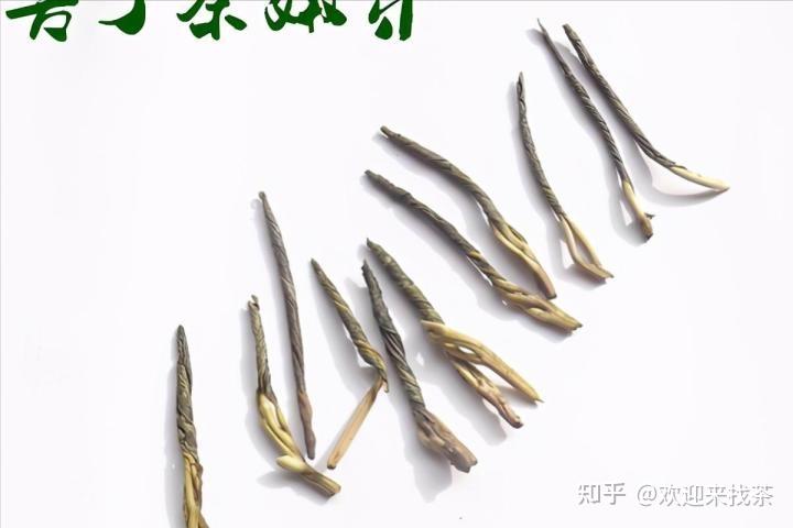 海南白骨苦丁茶,呀诺达苦丁茶 热带雨林海南特产