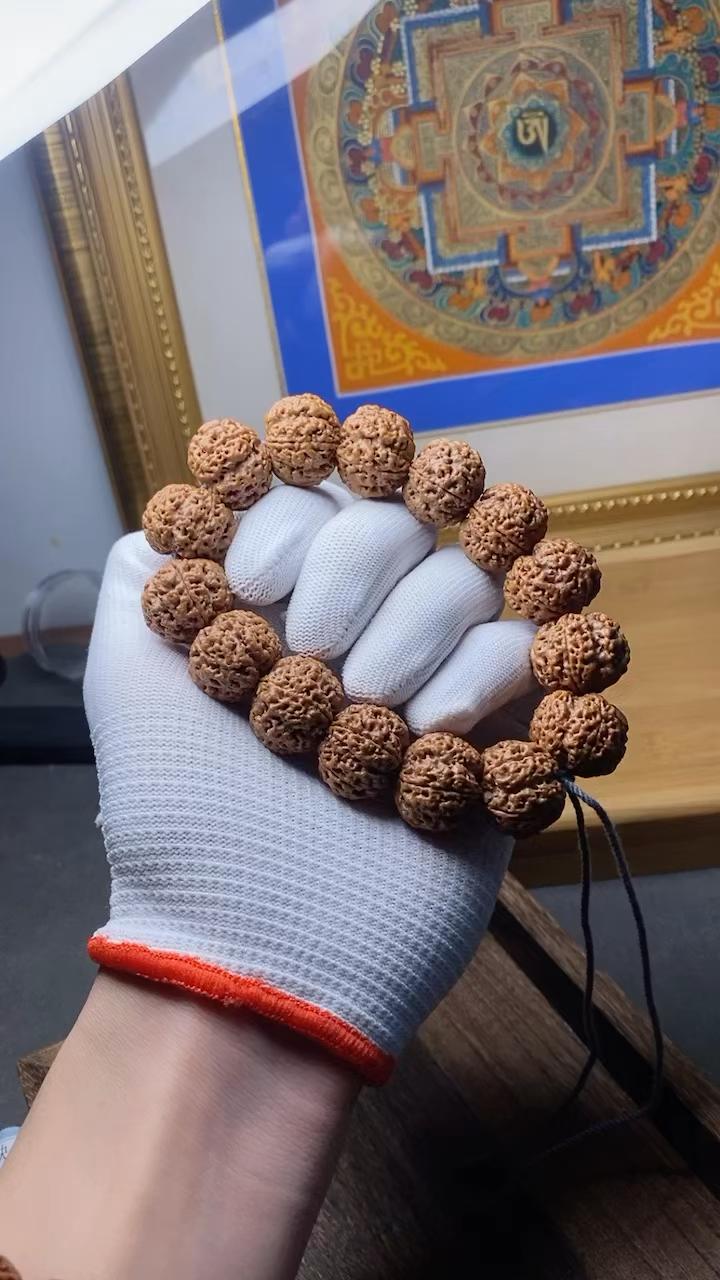 请懂得帮忙看一下这是金刚还是落地红