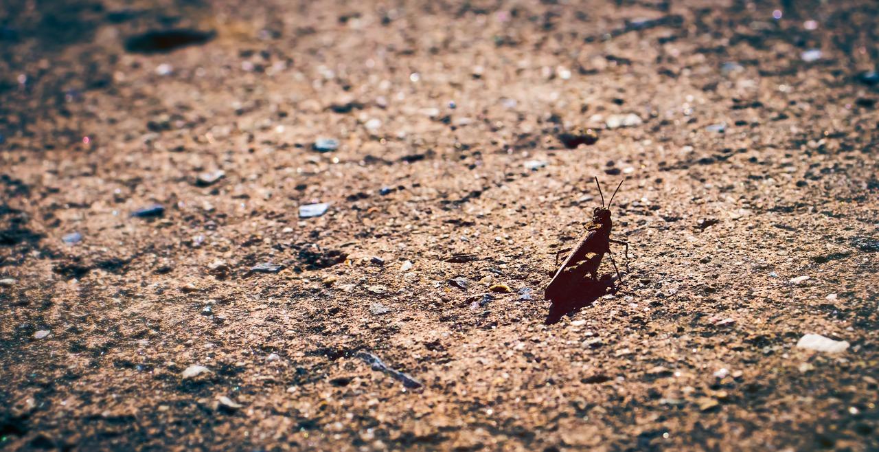 3. 蒸汽加热挥发