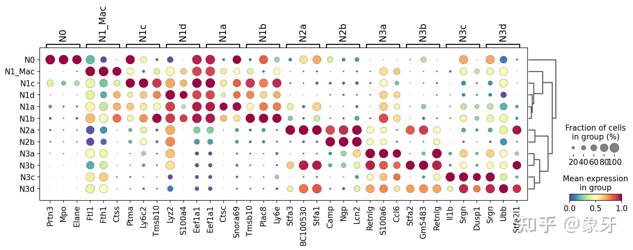  cosgr a unique method to identify cell marker gene 