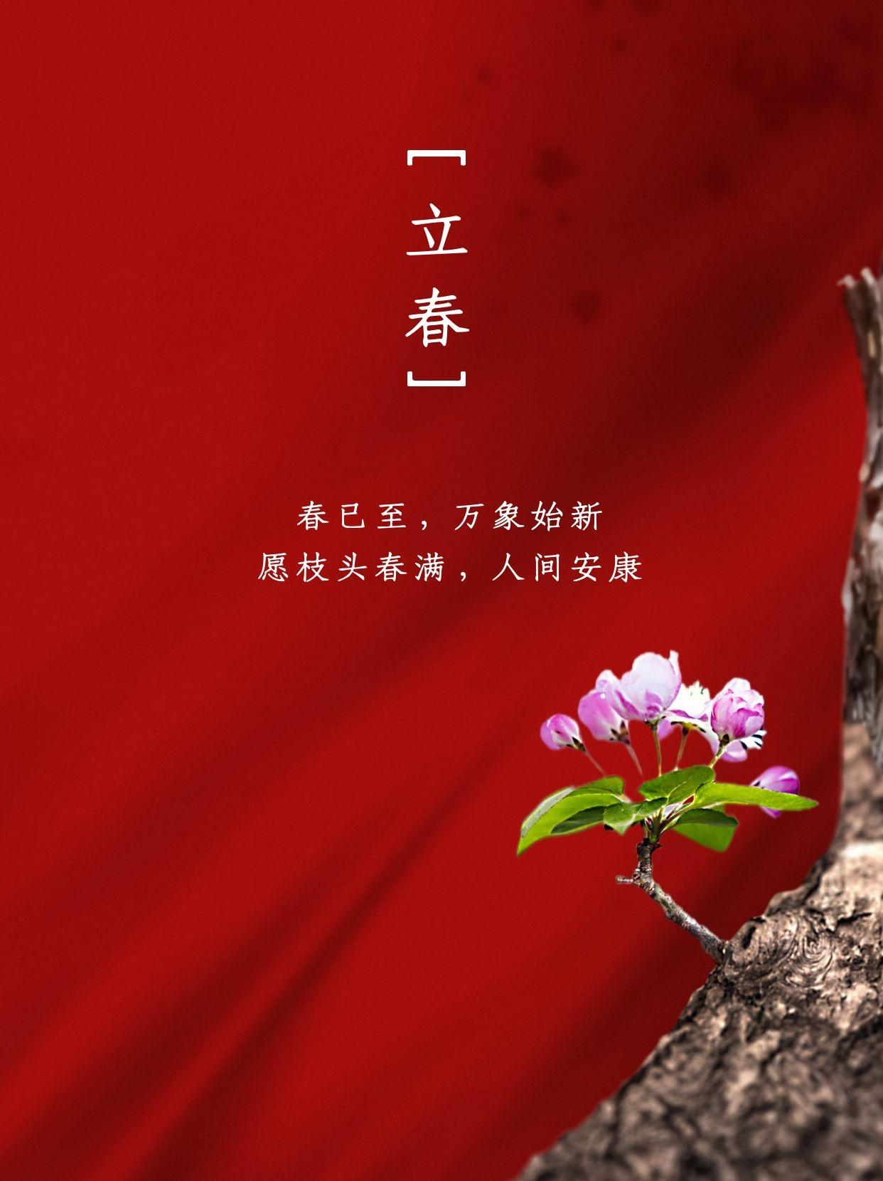 中国风立春海报|朋友圈素材及文案分享 - 知乎