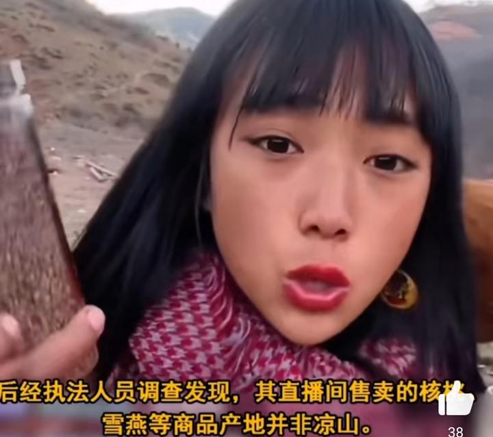 网红凉山孟阳获刑11个月编造父母双亡带货赚钱千万只被罚8万