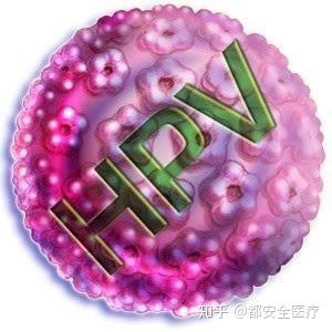 hpv检测结果阴性你就不会得宫颈癌吗 知乎