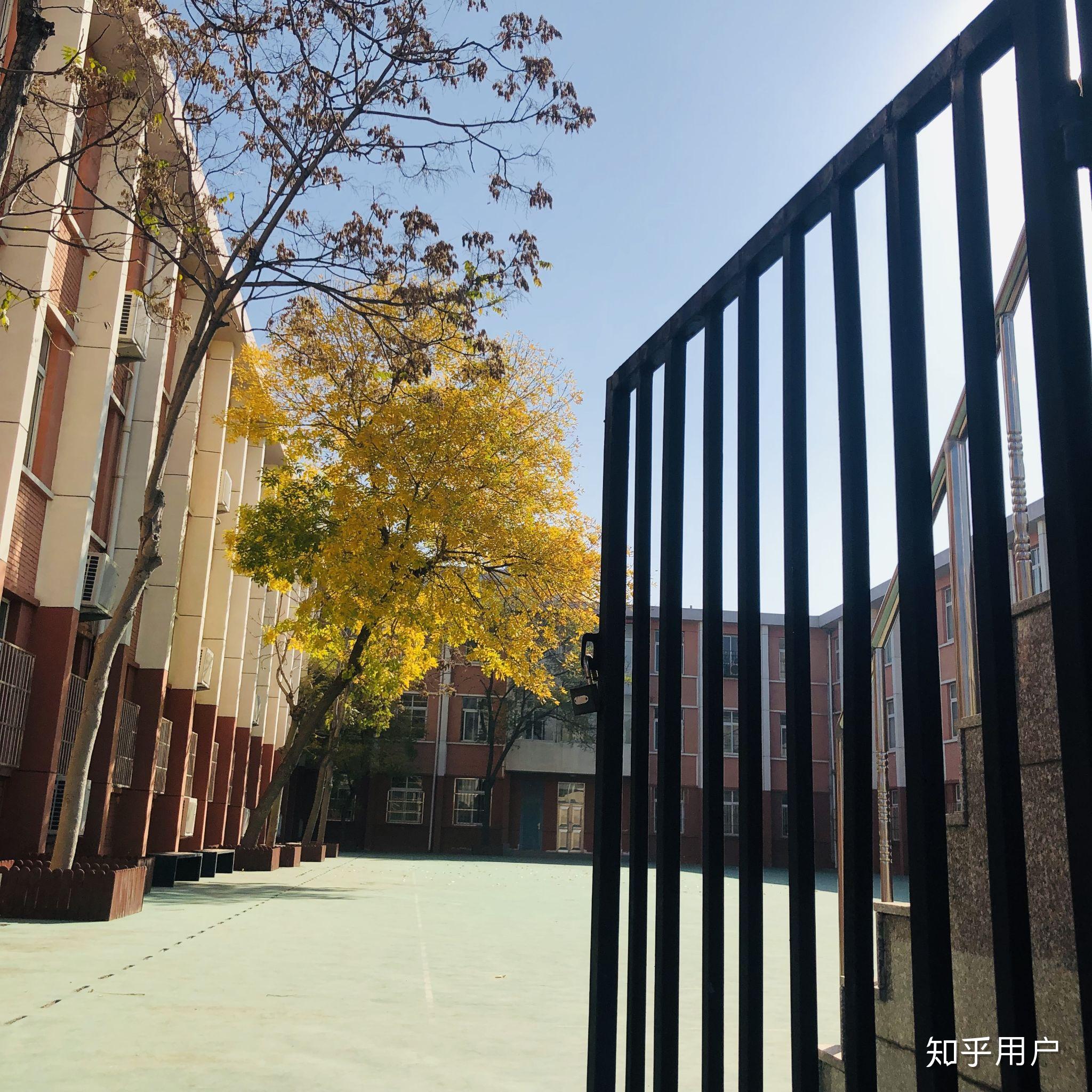 在塘沽十三中就读是一种怎样的体验