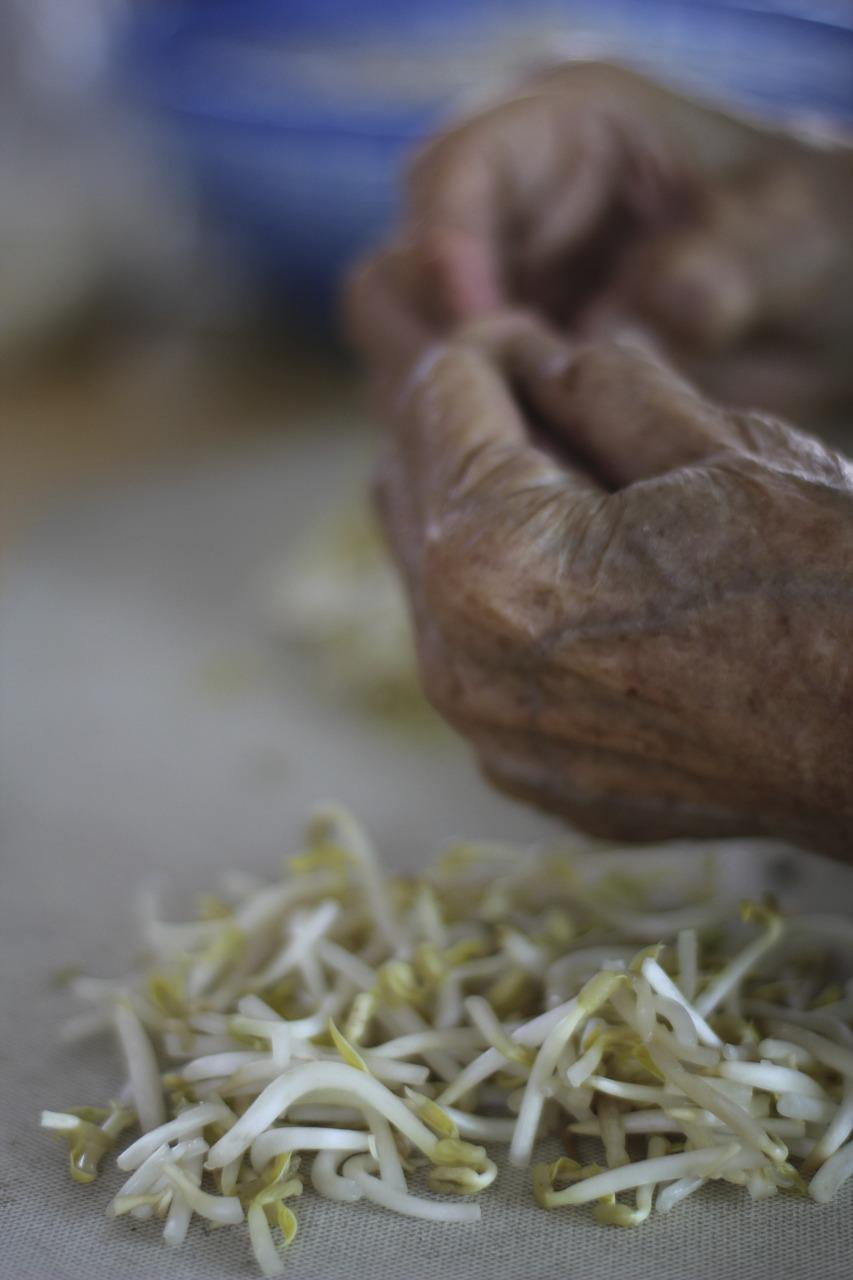 4. 豆芽机品牌对比