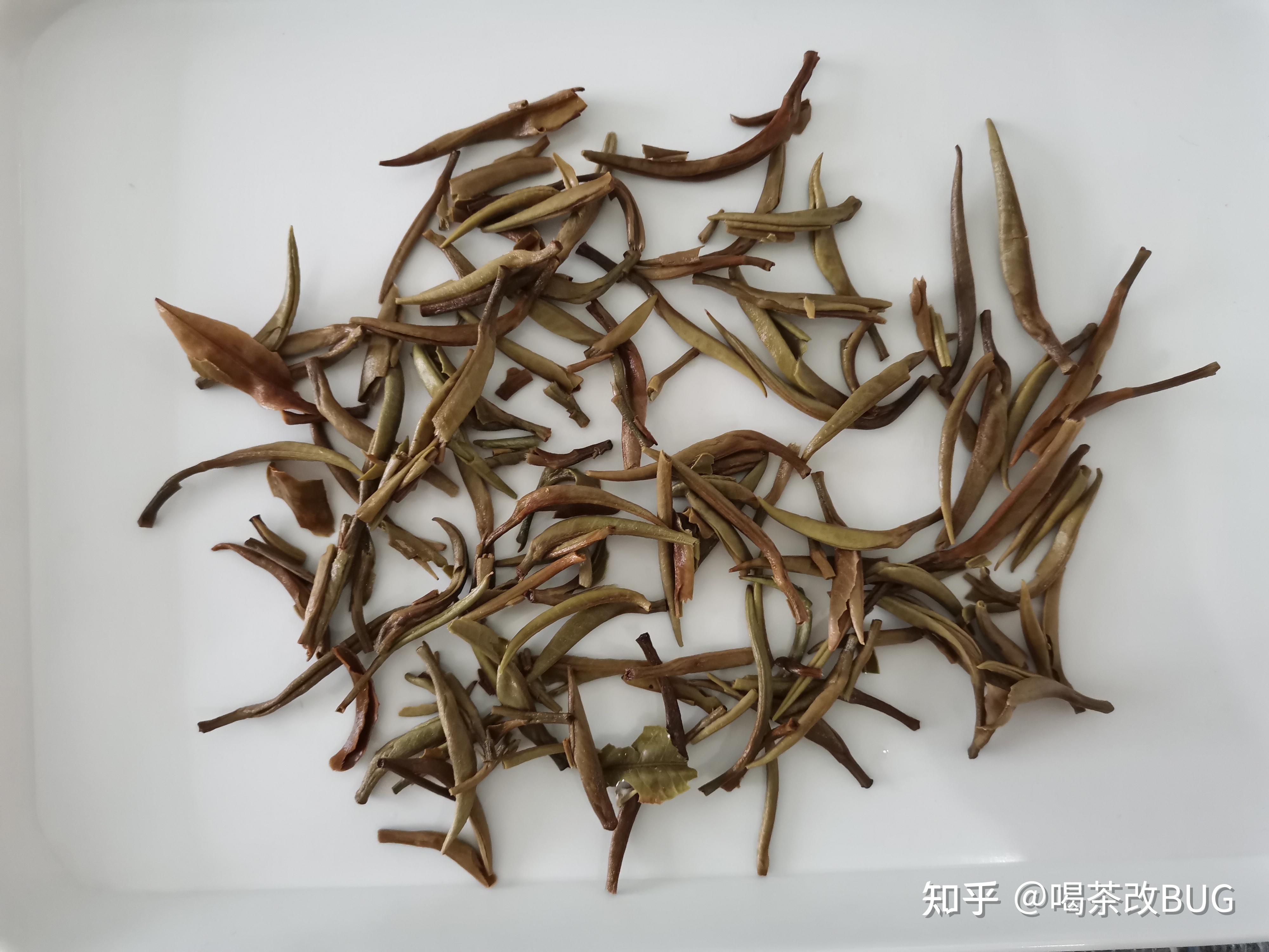 凤宁号月光白测评,一款不错的口粮云南白茶