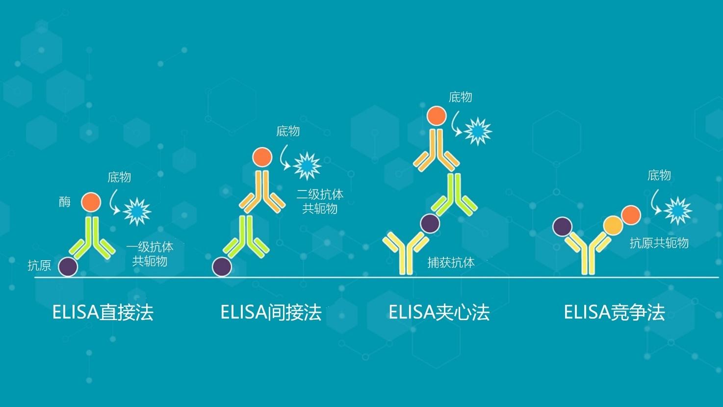 2,elisa测试的类型和示意图