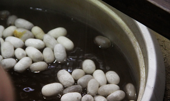 阿瑞从蚕茧到蚕丝被传统手工蚕丝被的加工流程