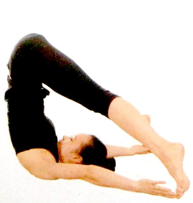 双角犁式 - 知乎