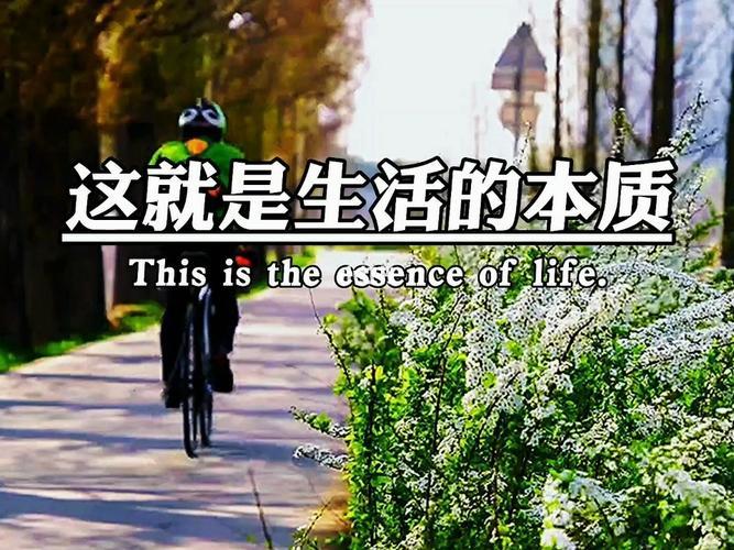 生活的意义是什么? 知乎