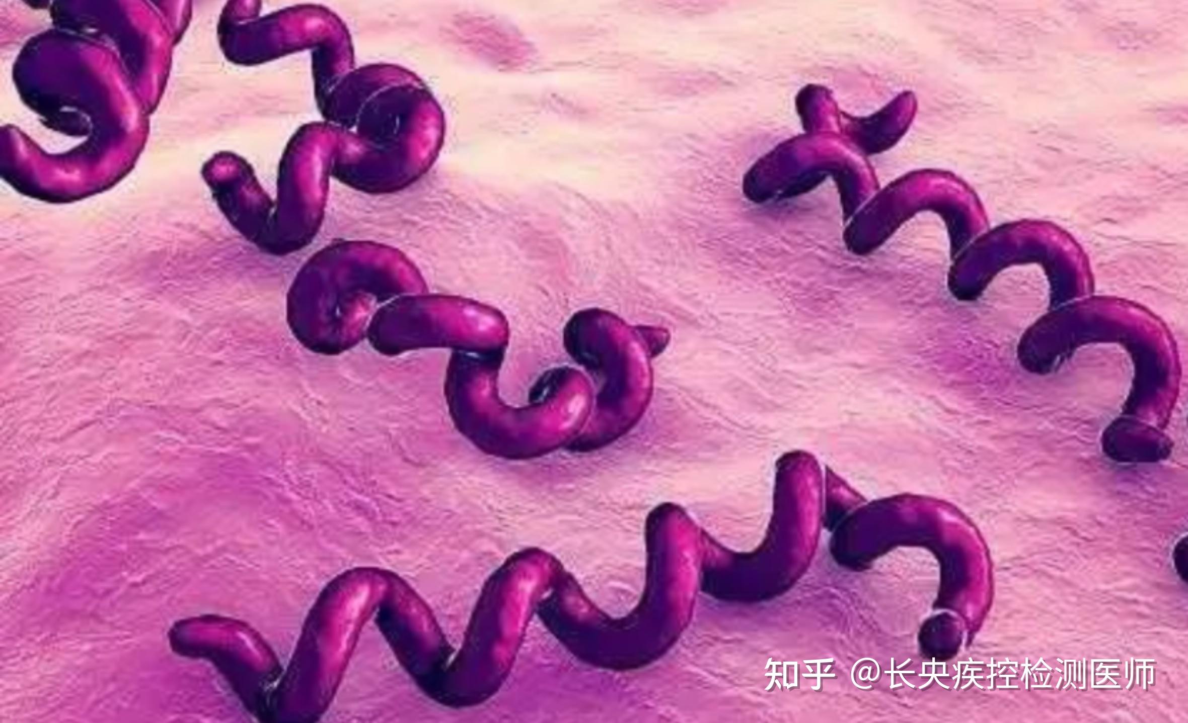 舌吻没有接触到硬下疳会传染梅毒吗? - 知乎