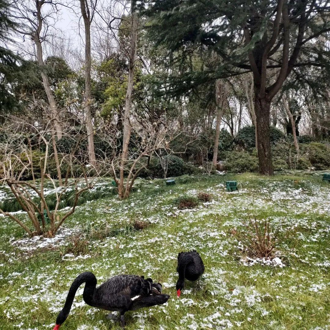 二分明月忆扬州|扬州散记