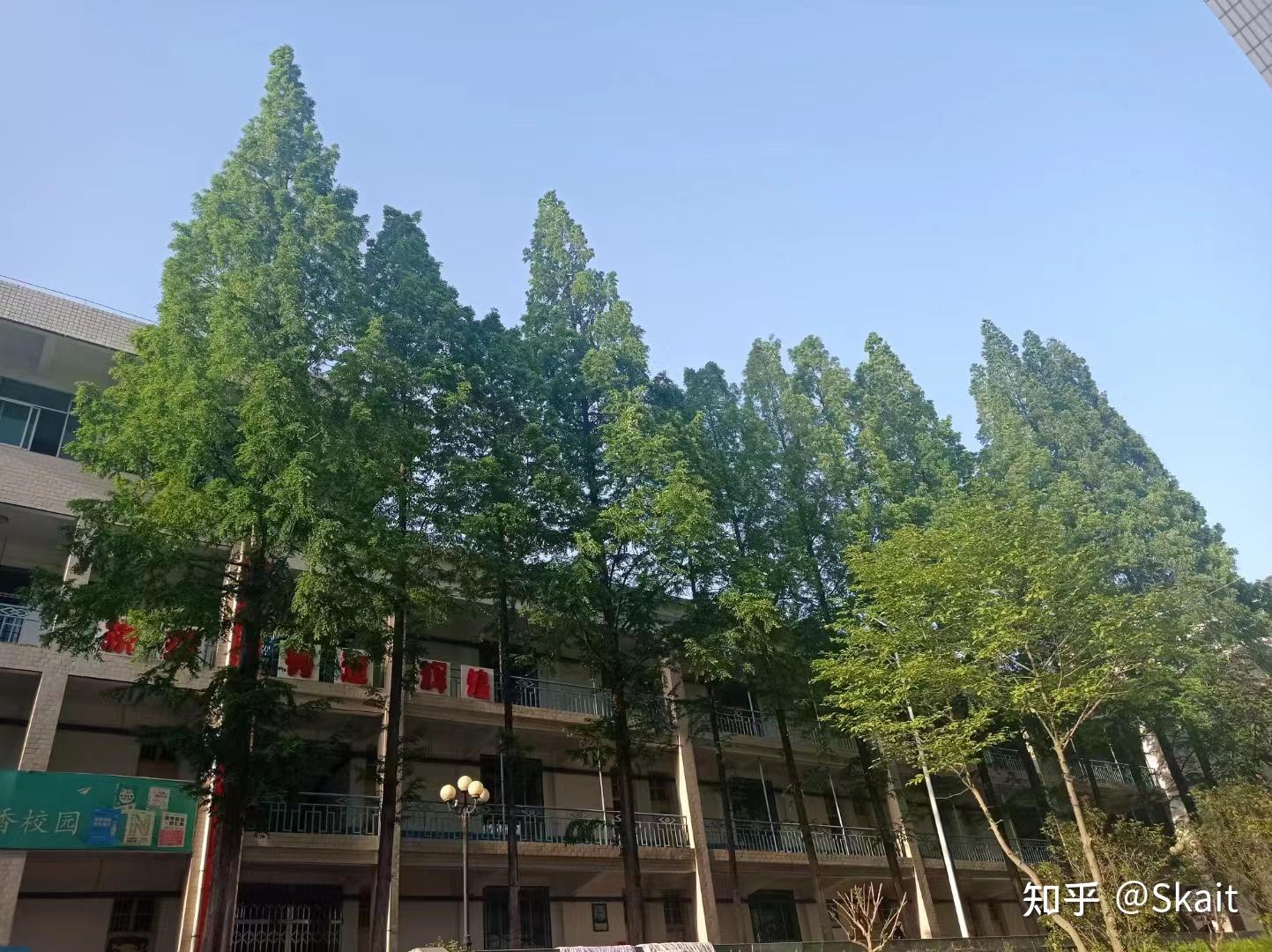 在陕西省山阳中学就读是怎样的一种体验