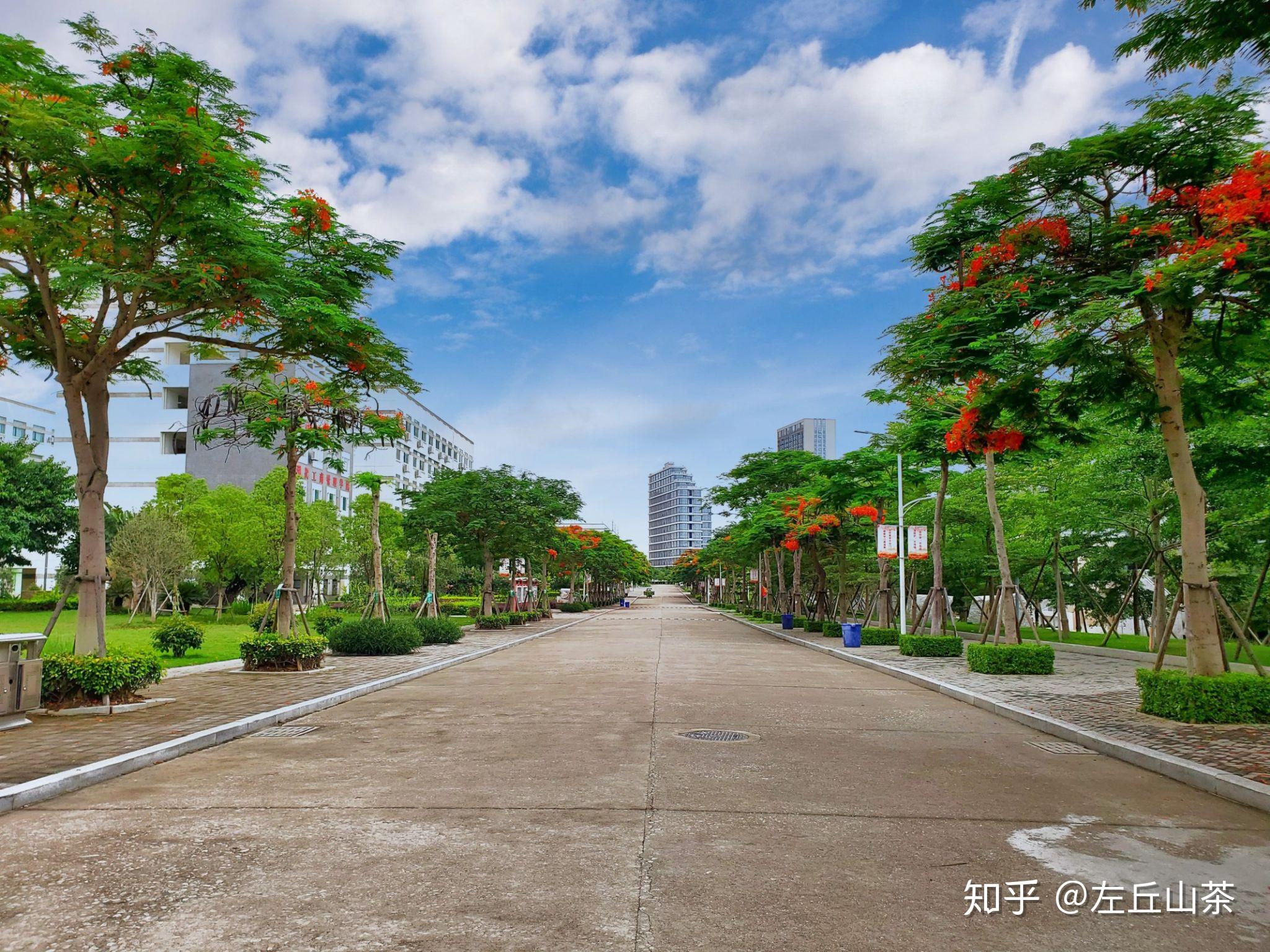 20届毕业的学弟学妹可以来了解一下厦门华天涉外学院