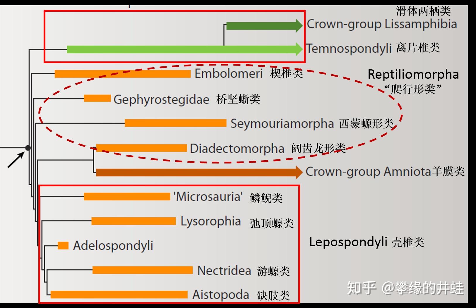 地球演义螈鲵对龙蜥