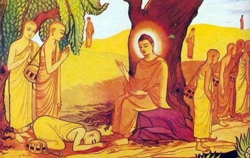 v2-e92553bc4a49de396bc1713376c31b7b_1440w.jpg?source=172ae18b