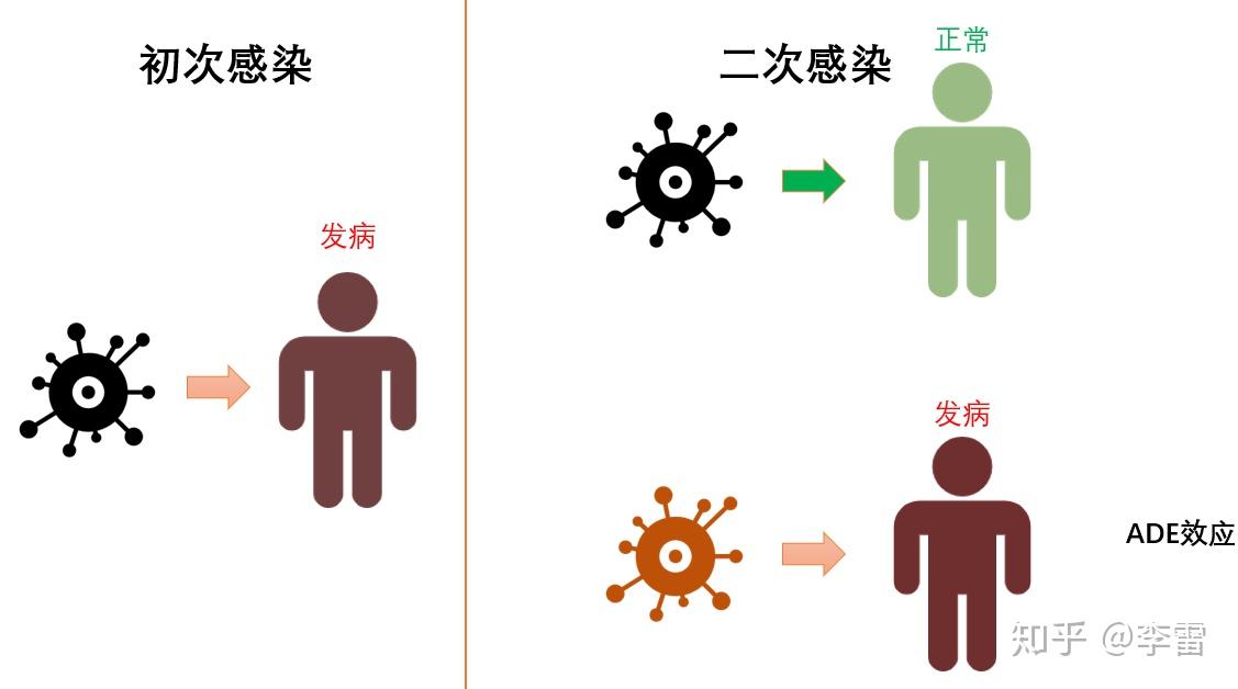 新加坡暴发登革热疫情-人平均一生会得几次新冠