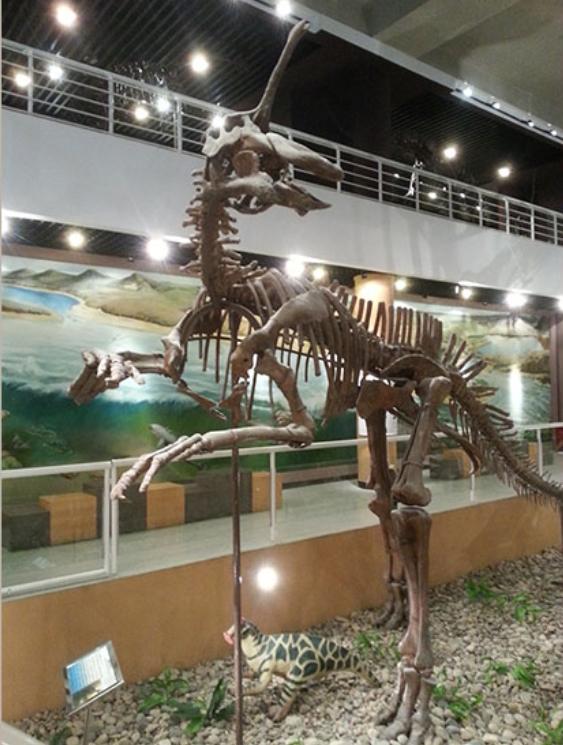 收录于·地质杂谈 10人赞同了该文章 山东拥有丰富的恐龙化石资源