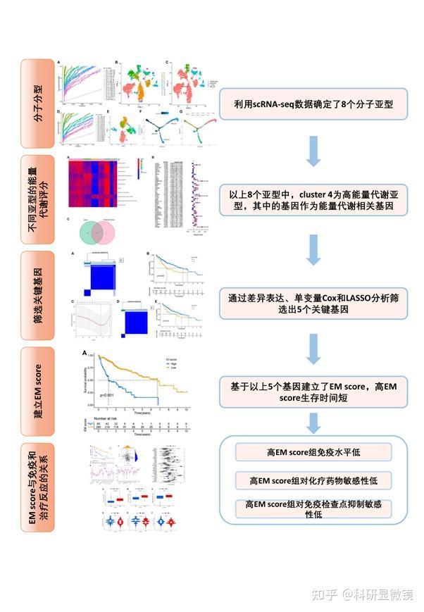 二,文章思路和主要结果
