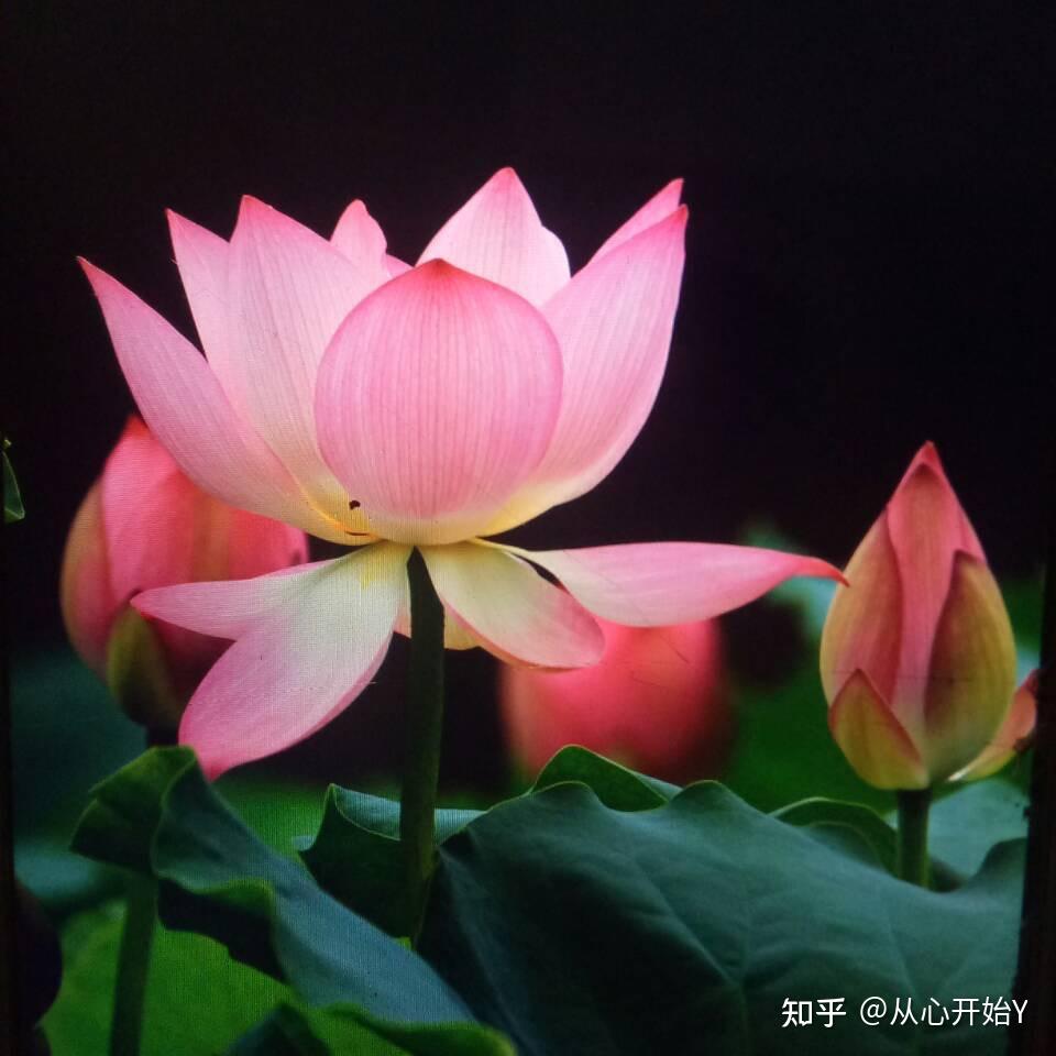 微信头像会影响第一印象吗