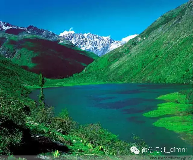 八月旅游-五天成都自助游和六天九寨沟跟团,哪