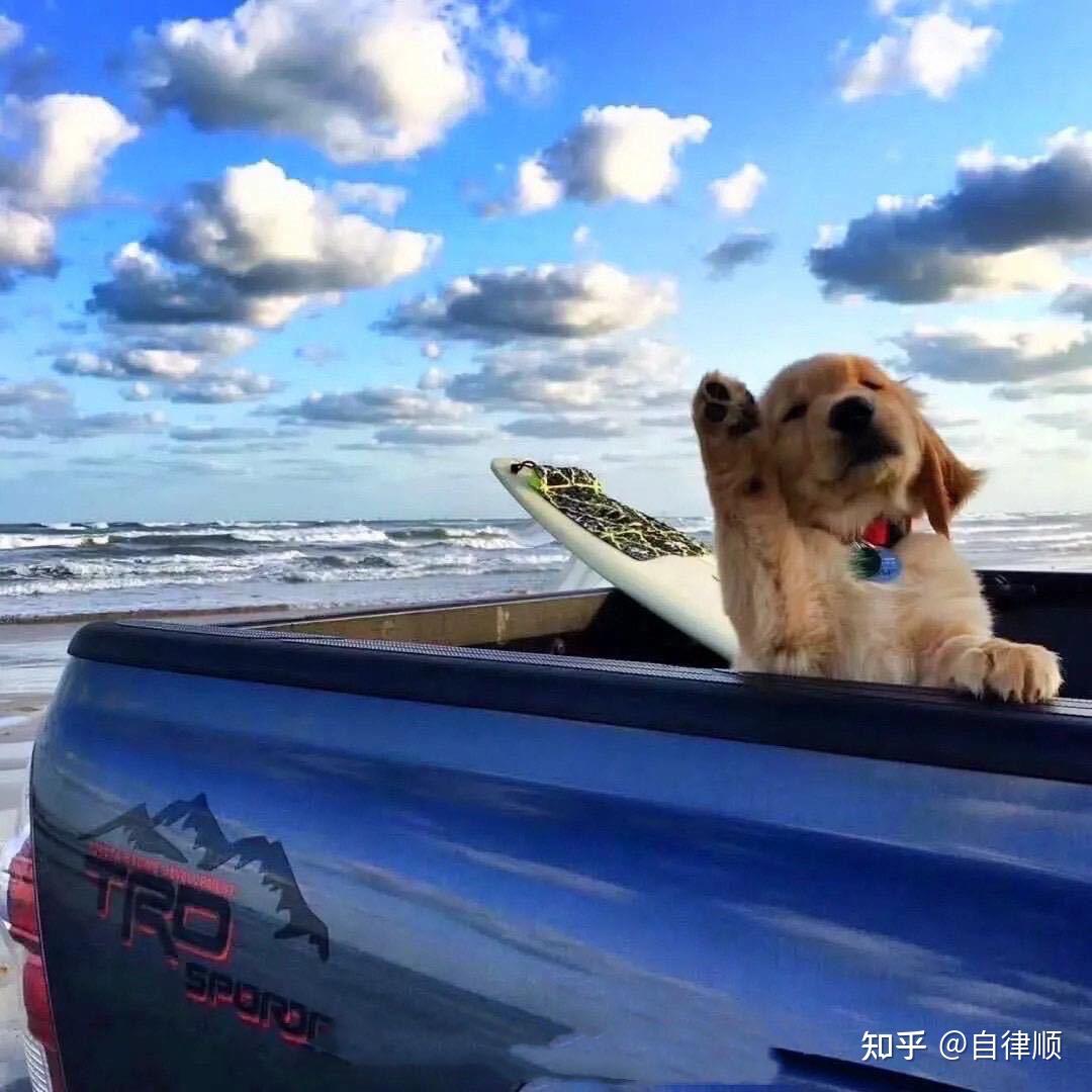 怎么查是不是情侣头像