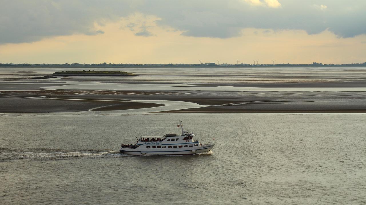 5. 绿化率高宜居