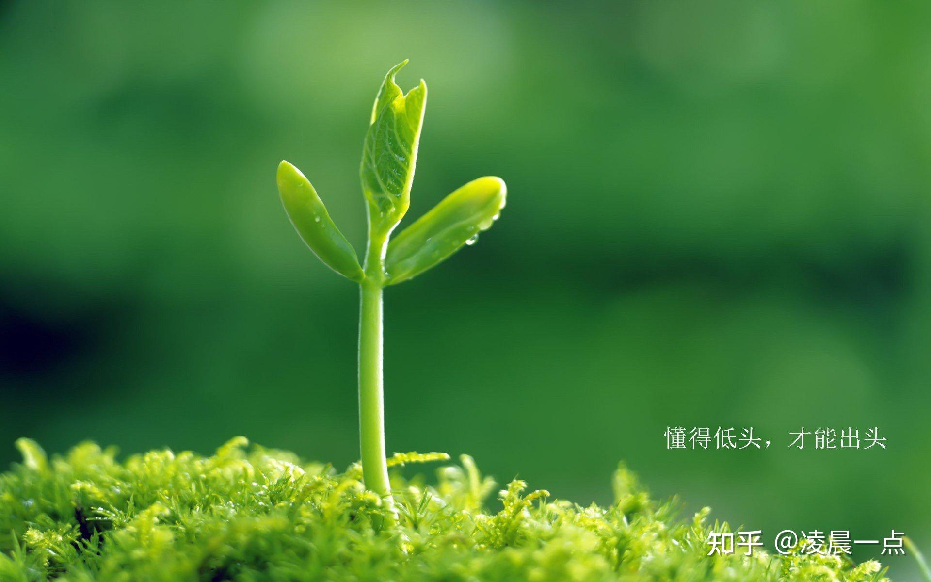 乡亲们,能分享一些励志的句子吗?