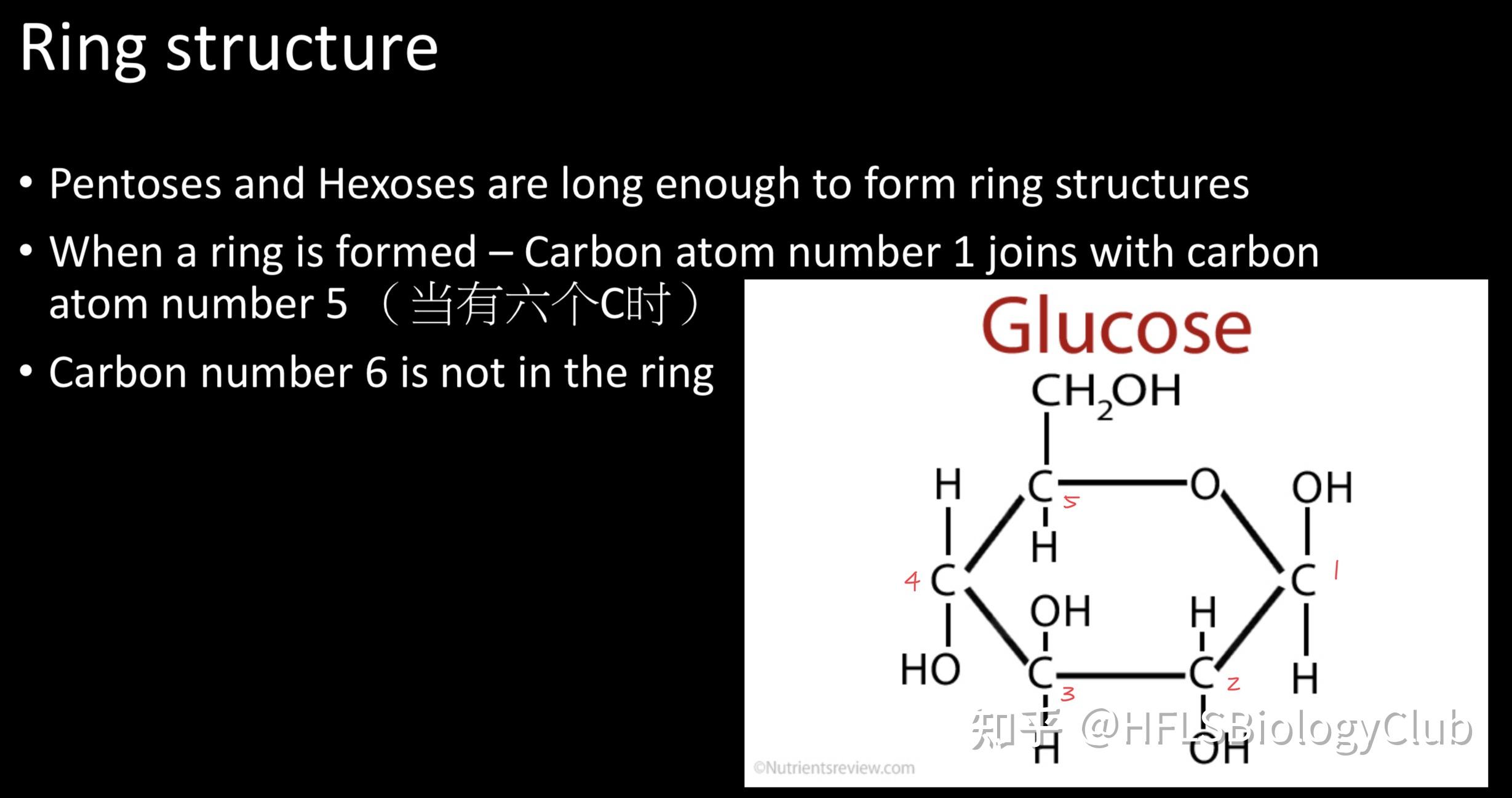 国际生物生物分子biologicalmolecules10