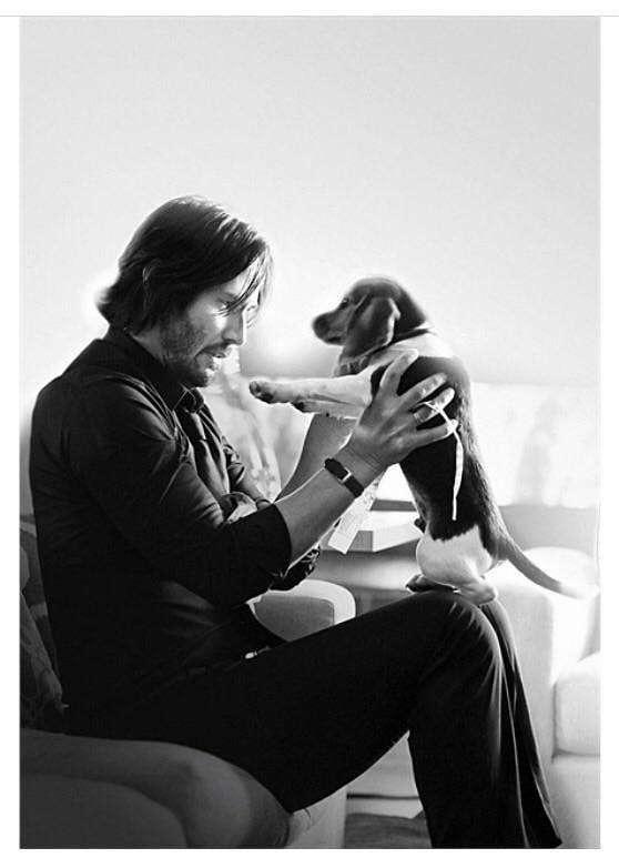 如果小丑杀了john wick的狗会发生什么?