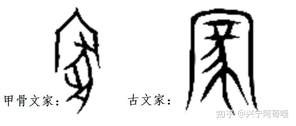 “纯嘏”正解 ——细说“家、室、豭、嘏”字理 - 知乎