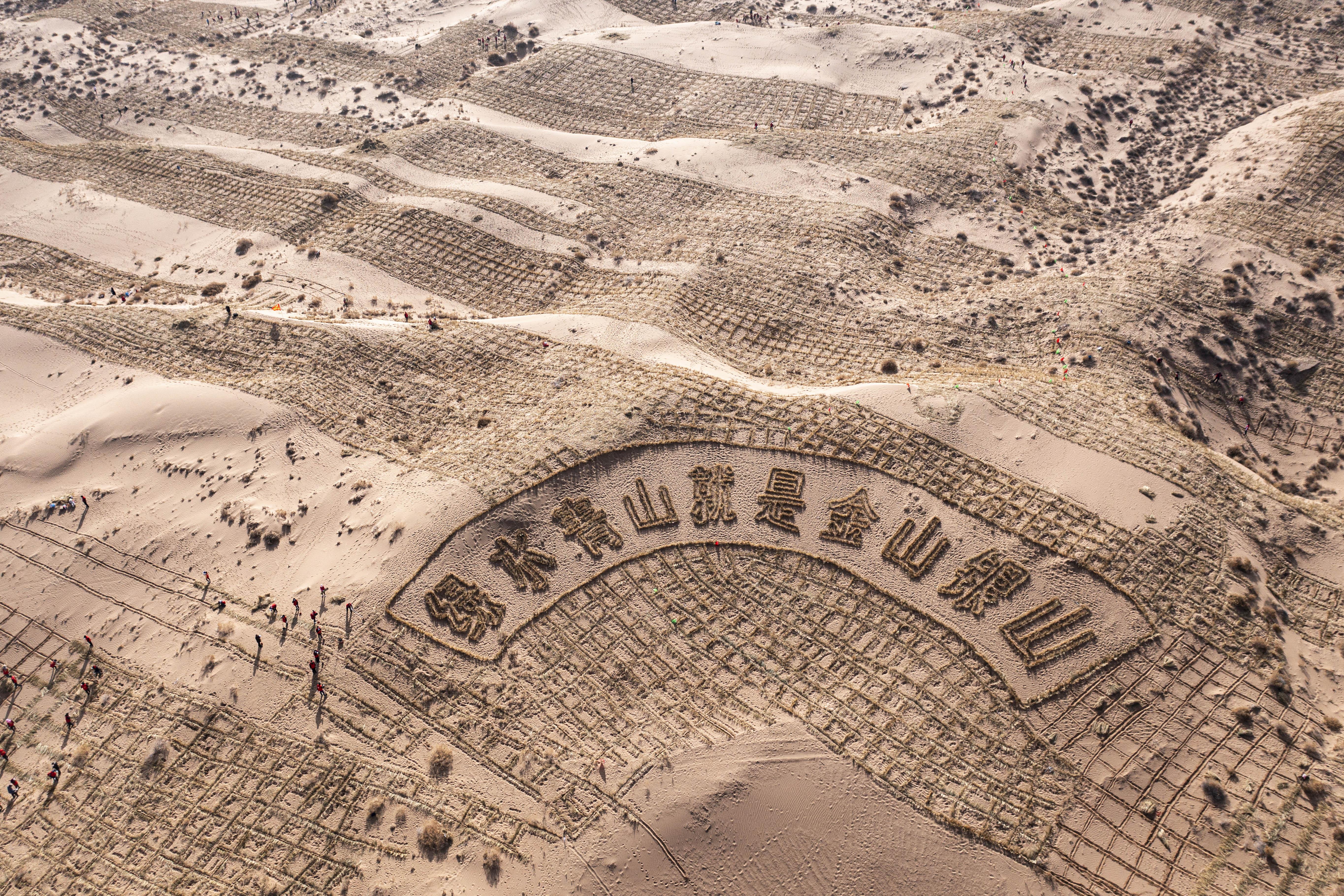 刘怀裕敢把沙漠变绿洲第一届甘肃现代摄影艺术展览优秀摄影作品