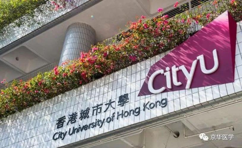 01 香港大学香港大学李嘉诚医学院提供医学,药学,中医学,护理学,生物