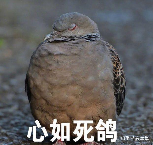 又是怎样的氛围?