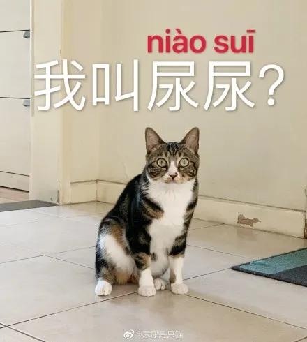 奇怪的知识又增加了 知乎 奇怪的知识又增加了 知乎