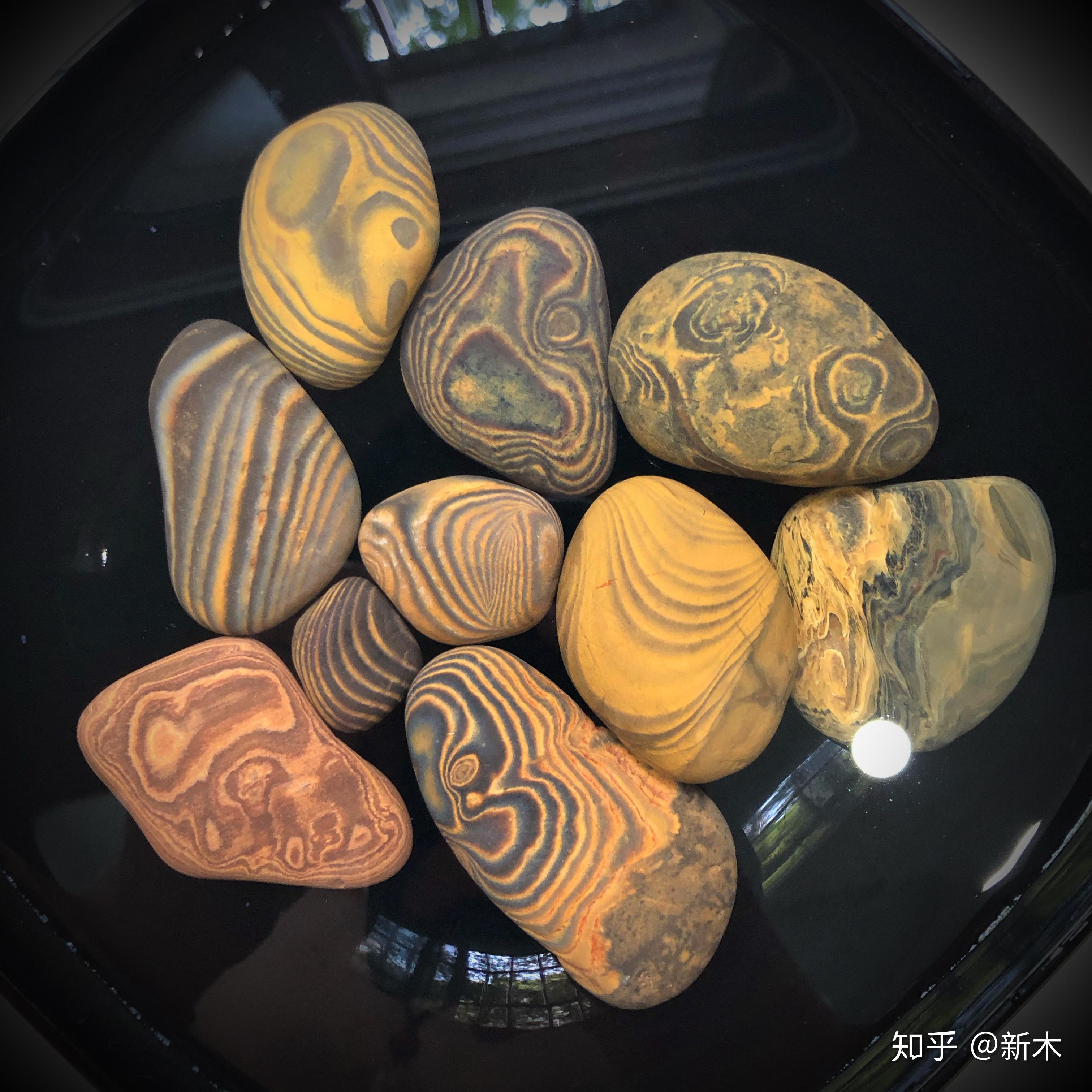 三江黄蜡石—《富贵》-盆景奇石-中国园林网