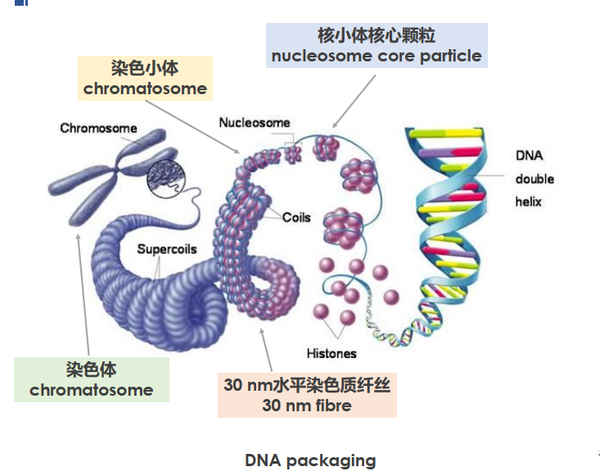 知乎专栏