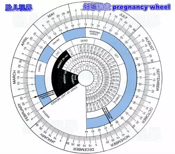 如何精准地计算预产期和孕龄 知乎