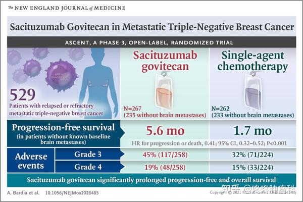 重磅 最难治的乳腺癌迎来颠覆性药物 Adc药物sg疗效较化疗提升7倍 患者生存期大幅延长 知乎