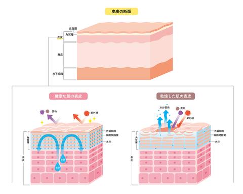 采美科普:意大利TEN SCIENCE详解皮肤刺痛的真相? - 知乎