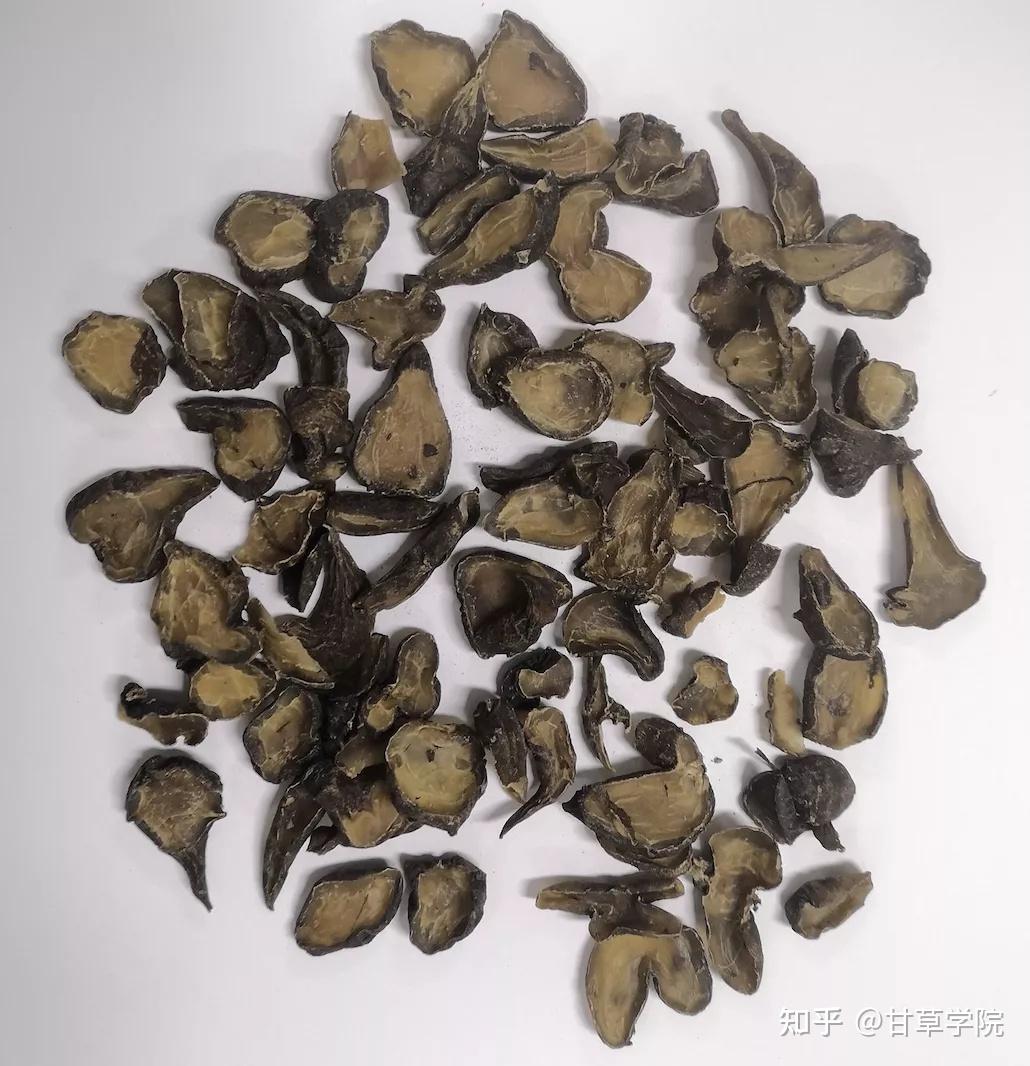 附子有毒吗? - 知乎