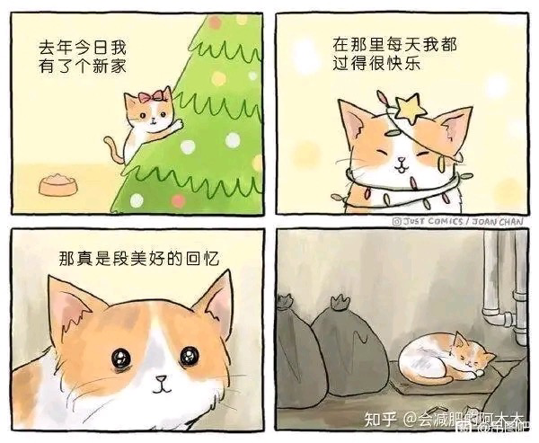 假如一只被特别娇惯的猫突然失去主人,能适应以后的生活吗? - 知乎